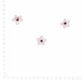 Pressed Flower Plum Blossom, White beside an 18 cm ruler