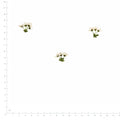Pressed Flower Spirea, White beside a 180 mm ruler