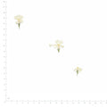 Pressed Phlox specimens in white with their natural shape and texture