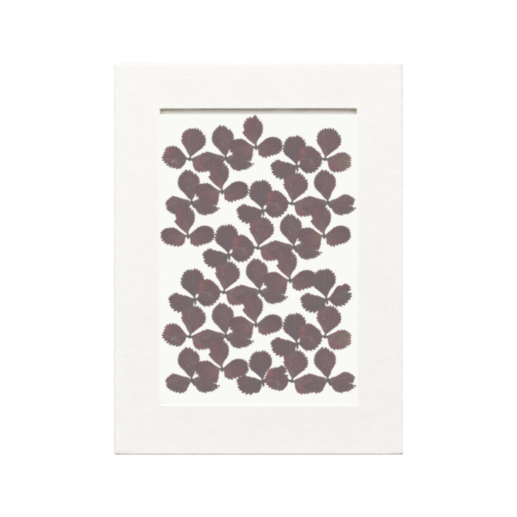Pressed Mock Strawberry Leaves, Wine Red, 30 pieces in white kraft packaging beneath translucent tracing paper