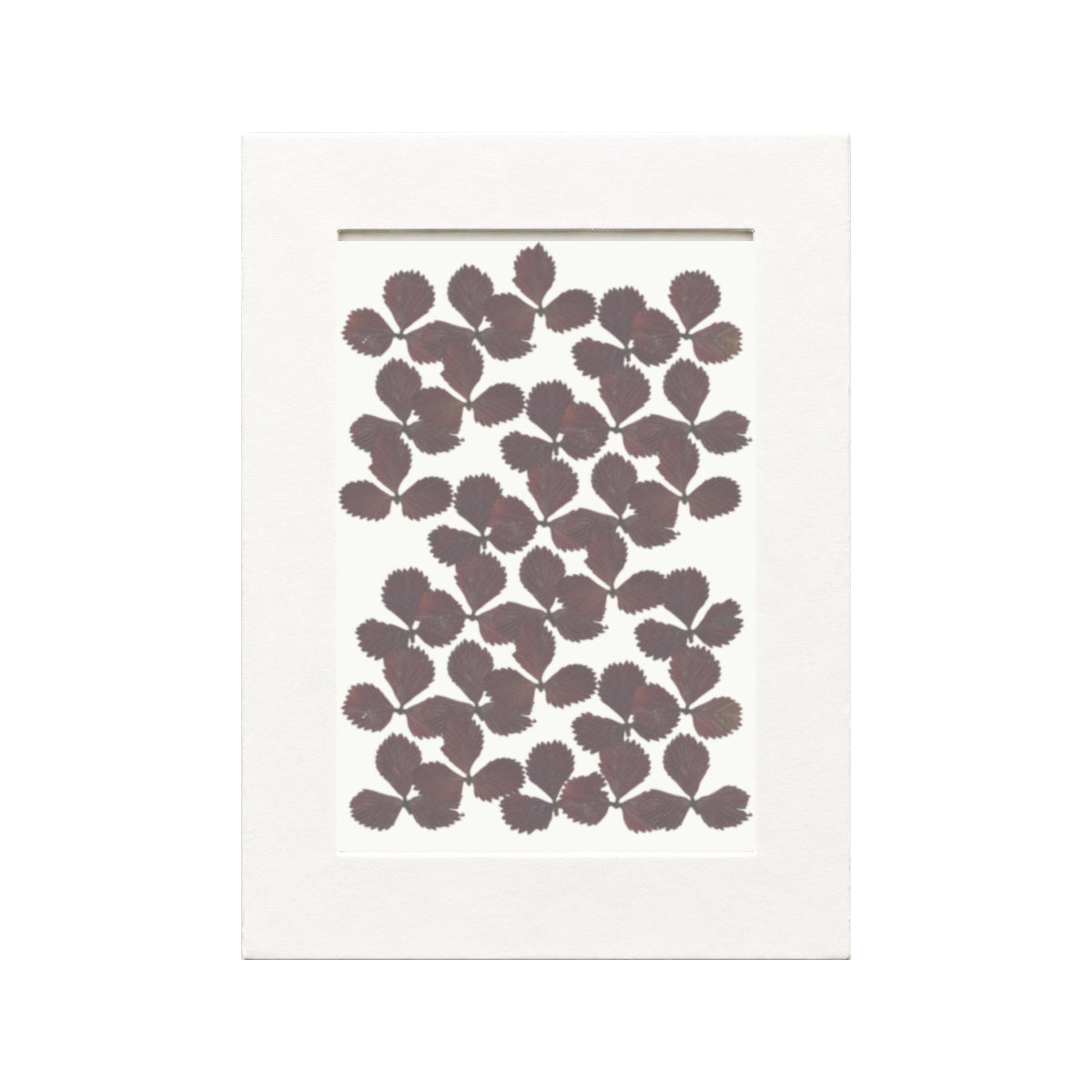 Pressed Mock Strawberry Leaves, Wine Red, 30 pieces in white kraft packaging beneath translucent tracing paper