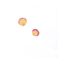 Pressed Mini Rose Petals — Natural Yellow with Pink Edges