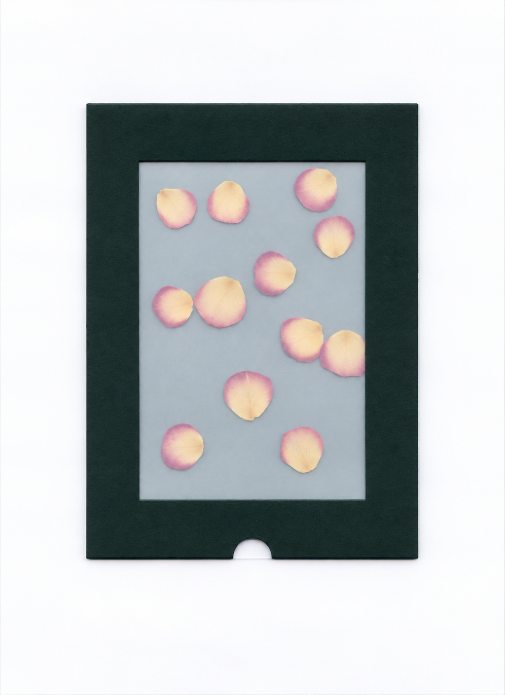 Pressed Flower Mini Rose Petal — packaging