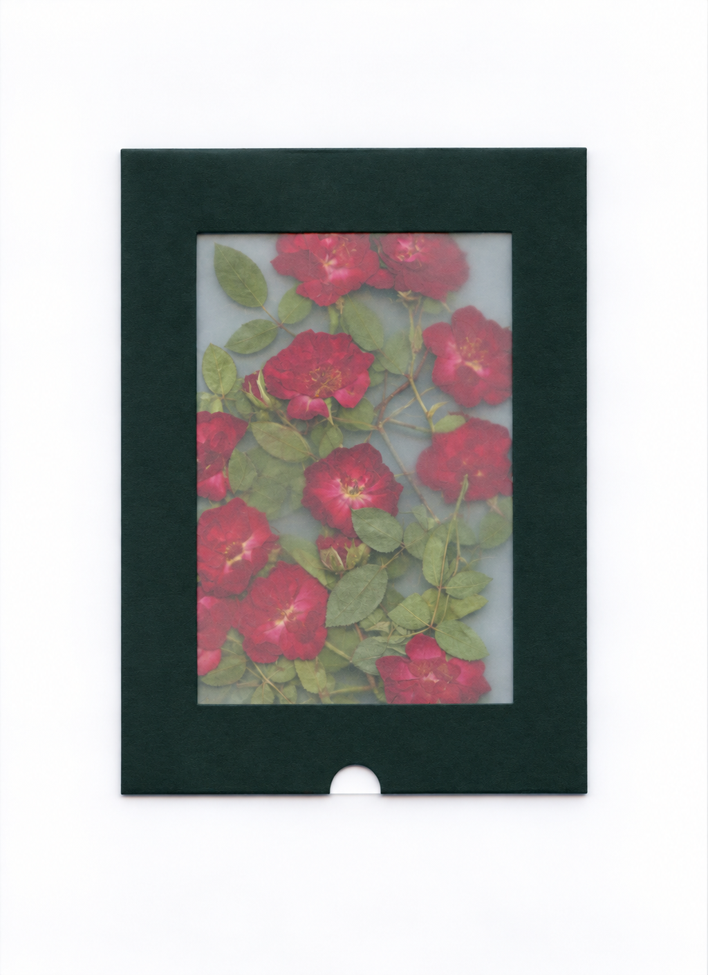 Pressed Flower Mini Rose — packaging