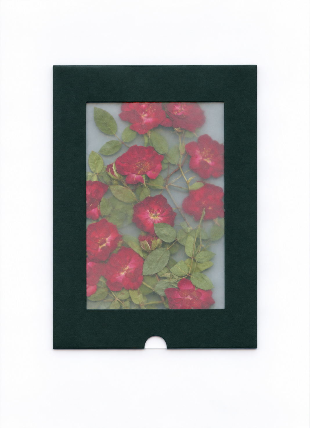 Pressed Flower Mini Rose — packaging