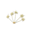 Pressed Queen Anne's Lace — Flower Clusters