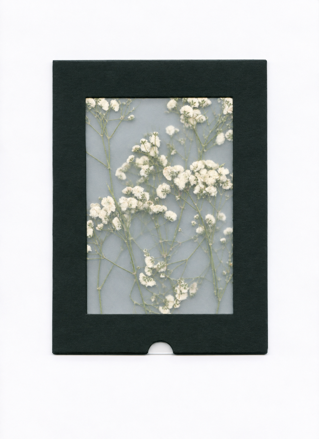 Pressed Flower Forget-Me-Not — packaging
