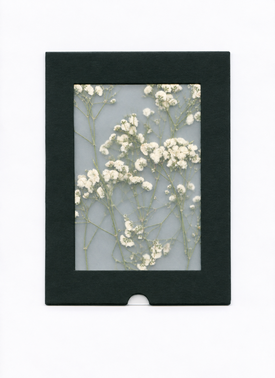 Pressed Flower Forget-Me-Not — packaging