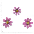 Pressed cosmos flower — purple