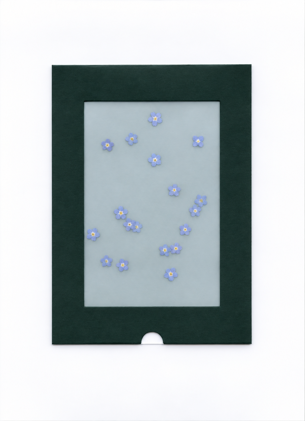 Pressed Flower Baby's Breath — packaging