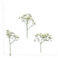 White pressed baby's breath flowering sprigs