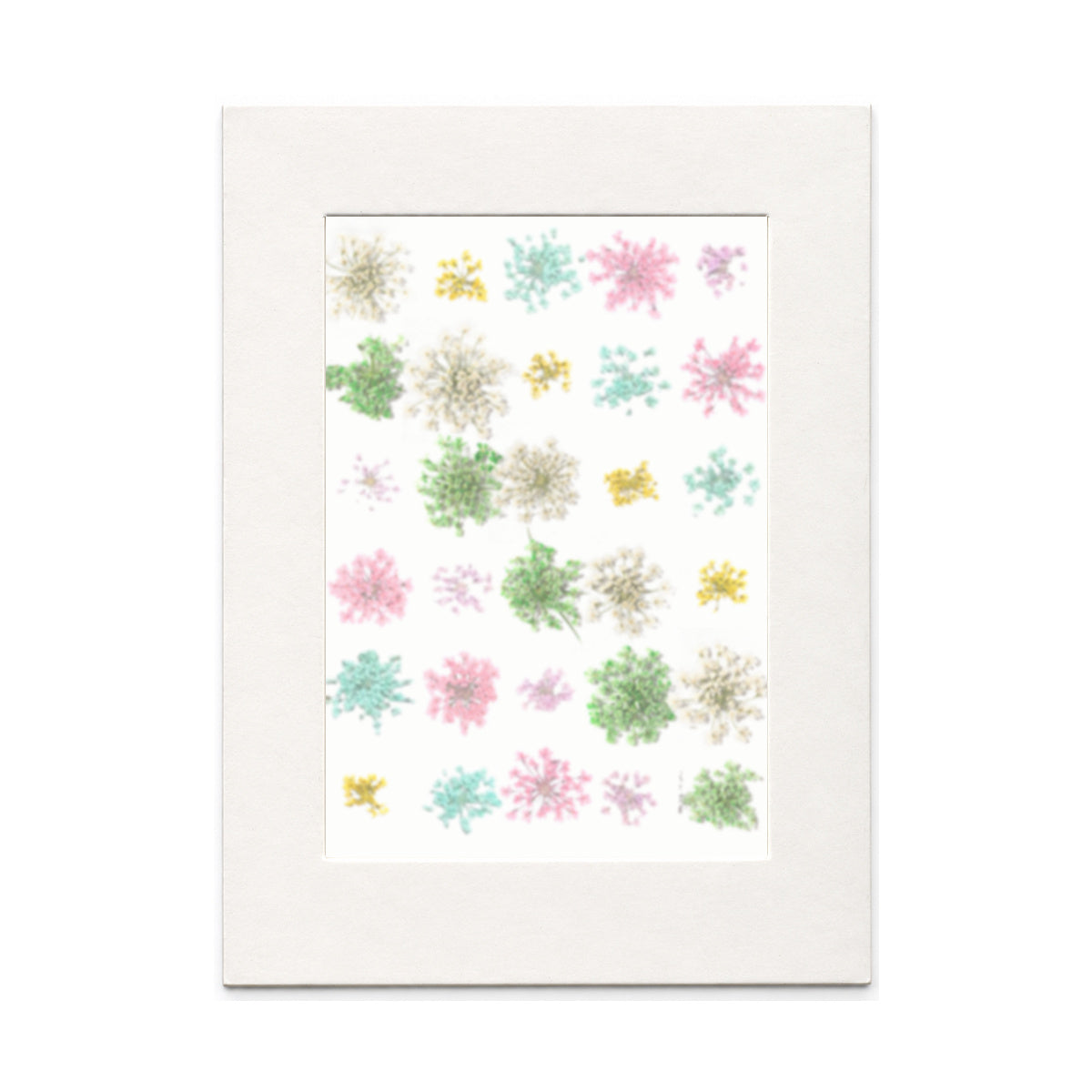 Pressed Flower Mix, Six-Color Mix, 30 pieces in white kraft packaging beneath translucent tracing paper
