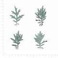 Pressed Mugwort Leaves, Green to Silver Green beside an 18 cm ruler