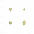Pressed Heart-Shaped Eucalyptus Leaves, Natural beside an 18 cm ruler
