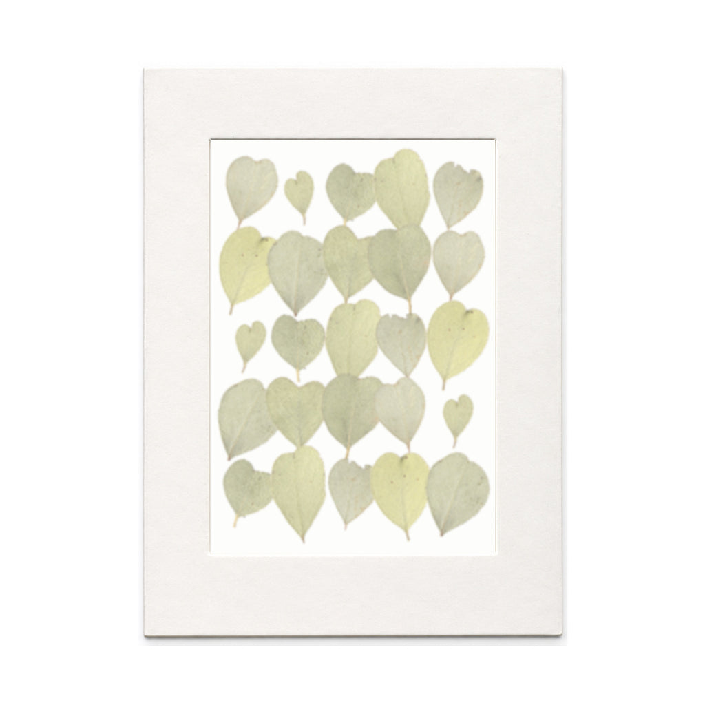 Pressed Heart-Shaped Eucalyptus Leaves, Natural, 25 pieces in white kraft packaging beneath translucent tracing paper