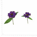 Pressed Zinnia Flowers with Stems, Purple beside an 18 cm ruler