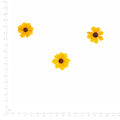 Pressed Flower Coreopsis, Yellow beside an 18 cm ruler