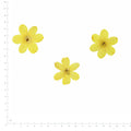Pressed Flower Winter Jasmine, Yellow beside an 18 cm ruler