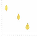 Pressed Columbine Sepals specimens in yellow with their natural shape and texture